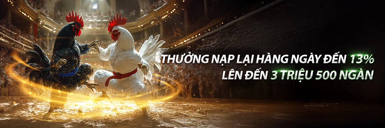 Đá gà trực tuyến i888 Game, trận đấu kịch tính