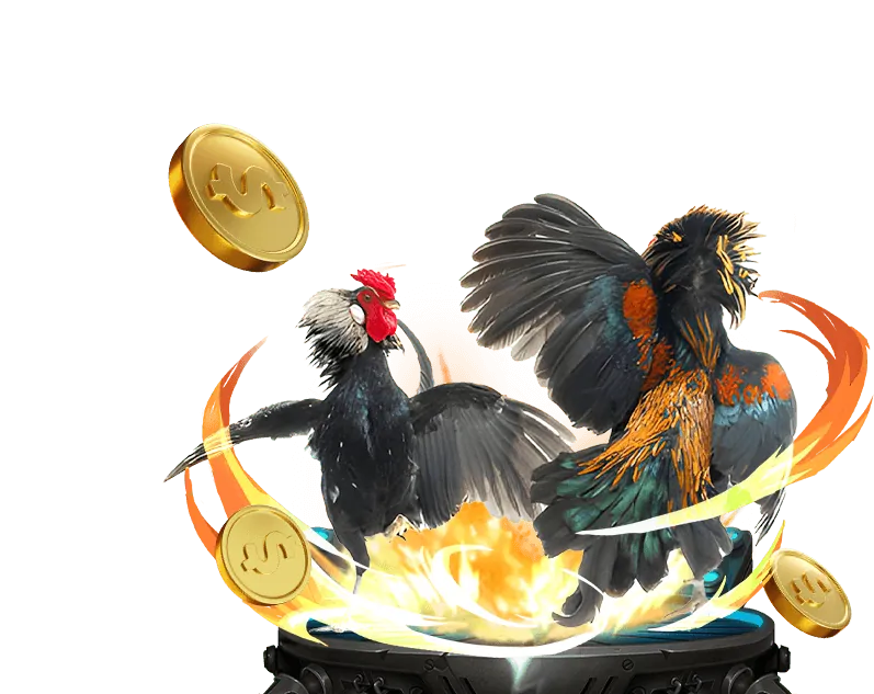 Phát trực tiếp đá gà chất lượng cao tại i888 Game